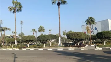 تغير اليوم بالاسماعيلية اعتدال نهارًا وبرودة ليلية